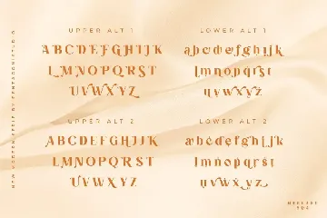 Evoria | Modern Serif Font