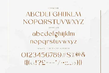 Rastegar Modern Sans font