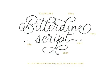 Bitterdine - Natural Calligraphy Script font