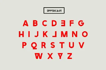 Newstyle Typeface Font