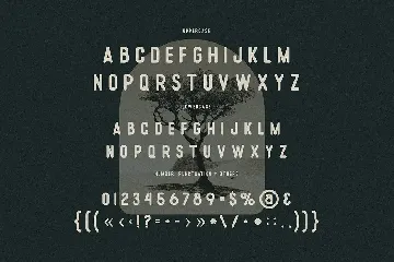 Flow Rounded Sans Family font