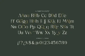 Ronds Mukode-Aesthetic Serif Font