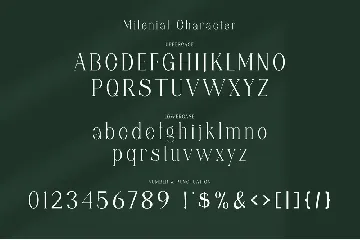 Milenial Serif Typeface font