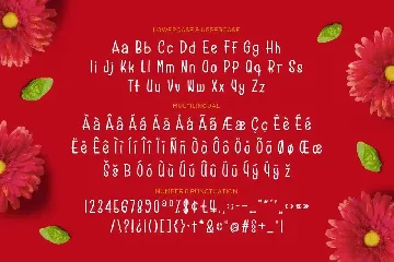 Reds Velvetos font