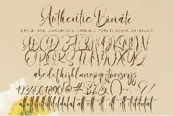 Authentic Binate font