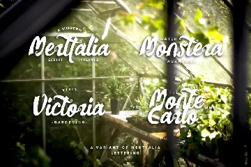 Merttalia Modern Script Font