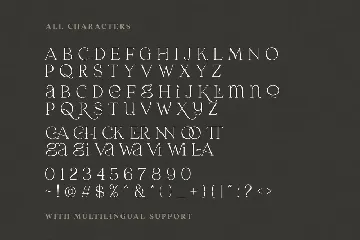 Laginchy - Quirky Serif (Light & SemiBold) font