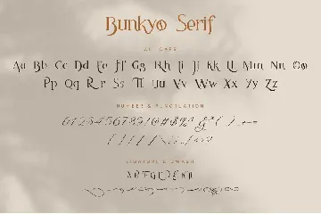 Bunkyo - Modern Duo Font