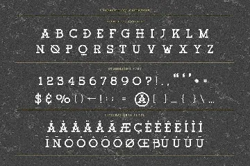 Cassanova Monoline Slab Serif font