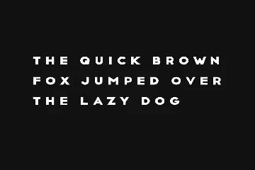 CRUX - Minimal Display / Headline / Logo Typeface font