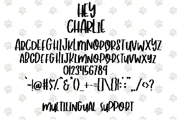 Hey Charlie - Fun Mixed Case Font