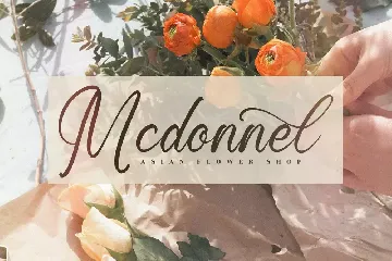 Ronald Mendoya Modern Script Font