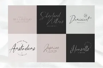 Missing Lauderdale - Handwritten font