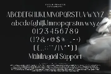 Clean Fragile font