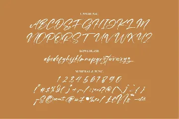 Masterly Modern Signature Font