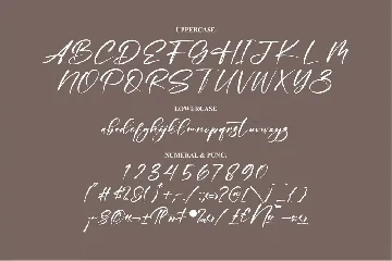 Holdiger Modern Signature Font