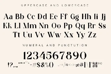 Serif Modern Display font