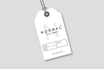 NORMAL - Minimal Sans Serif Typeface + WebFonts