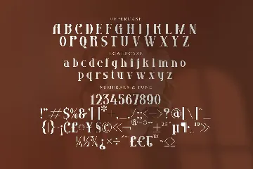 Grozery Stylish Serif Font