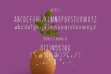 Pooney Kids font