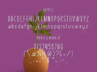 Pooney Kids font