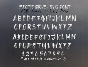 Exotic Brush & SVG Font