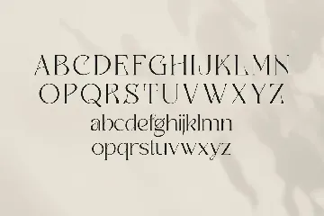 Badoga Modern Serif Font