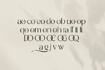 Badoga Modern Serif Font