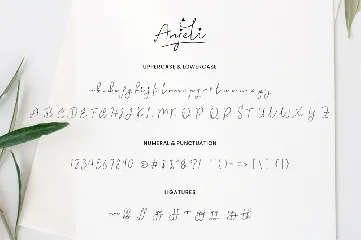 Anjeli - Elegant Signature Calligraphy Font