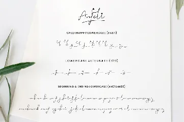 Anjeli - Elegant Signature Calligraphy Font