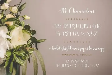 Shafiqa - Romantic Font