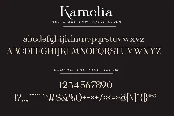 Luxury Modern Serif Font