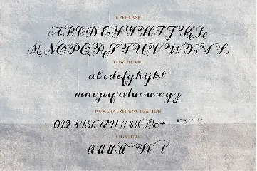 Fharida- Modern Calligraphy Script Font