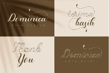 Dominica - Calligraphy Modern Script Font