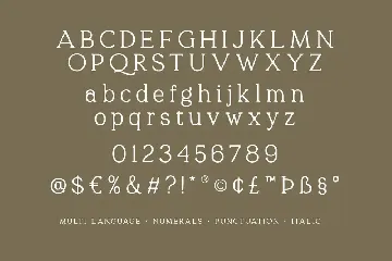 Quelity - Crooked Serif Font