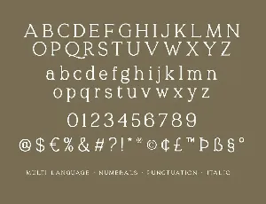 Quelity - Crooked Serif Font