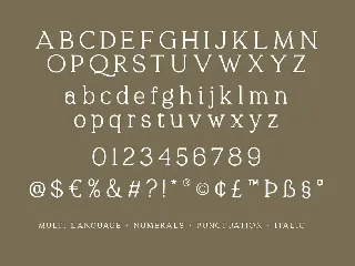 Quelity - Crooked Serif Font