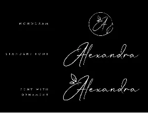 Mrs Alexandra Elegant Signature Font