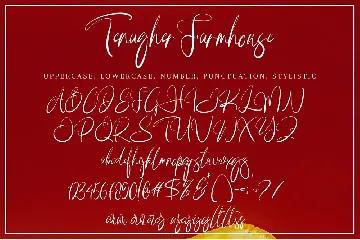 Tenagher Farmhouse font