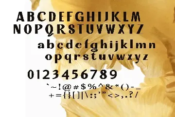 Rosamigna - Sans Serif Font