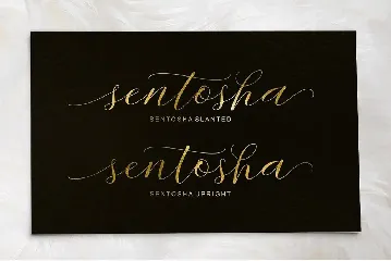 Sentosha Script font