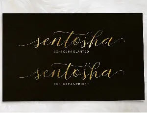 Sentosha Script font