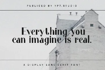 Modern Display Sans Serif Font