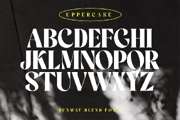 Elegant Bold Serif Display Font