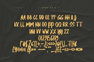 Raymen - Modern Handwritten Font