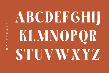 Elegant Display Serif Font