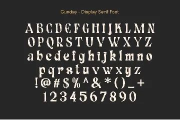 Gunday - Display Serif Font