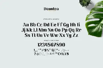 Dauntea - Modern Serif Typeface font