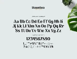 Dauntea - Modern Serif Typeface font