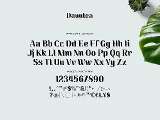 Dauntea - Modern Serif Typeface font